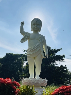 TƯỢNG PHẬT ĐẢN SANH
