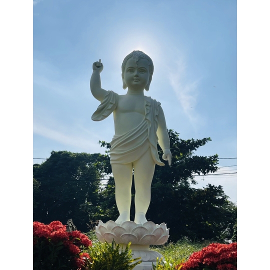 TƯỢNG PHẬT ĐẢN SANH